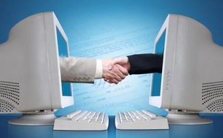 德國(guó)農(nóng)產(chǎn)品電子商務(wù) 信息化、專業(yè)化與全程化的發(fā)展藍(lán)圖